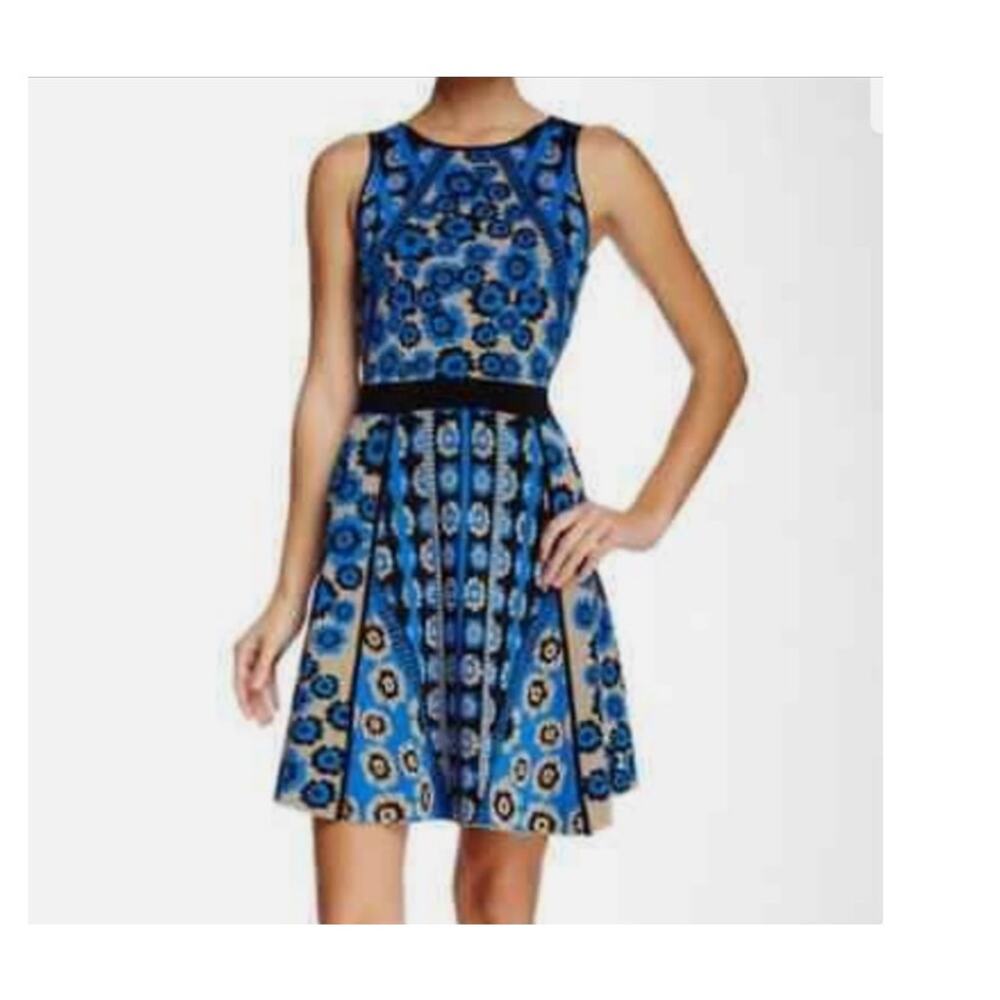 Cynthia Steffe Igna Fit Flare Dress Floral Large Blue Tan Black